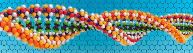 DNA business model
