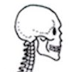 eBook Skeleton Head