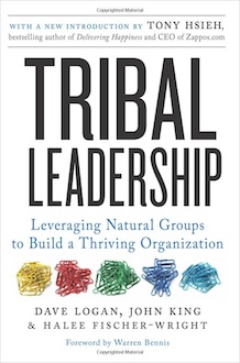 Tribal Leadership Book