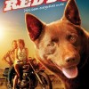 Red Dog - The Movie