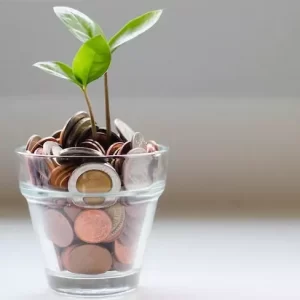 Money tree - when is it ok to work for free?