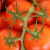 Pomodoro Technique - Italian for Tomato
