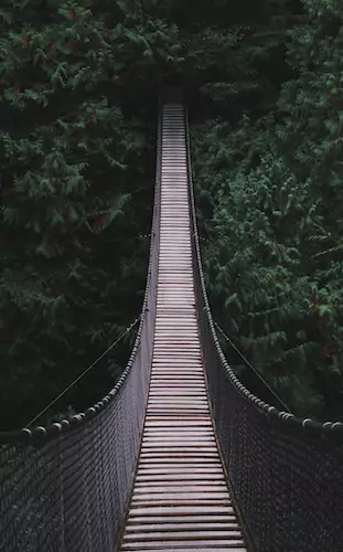 Build a Bridge