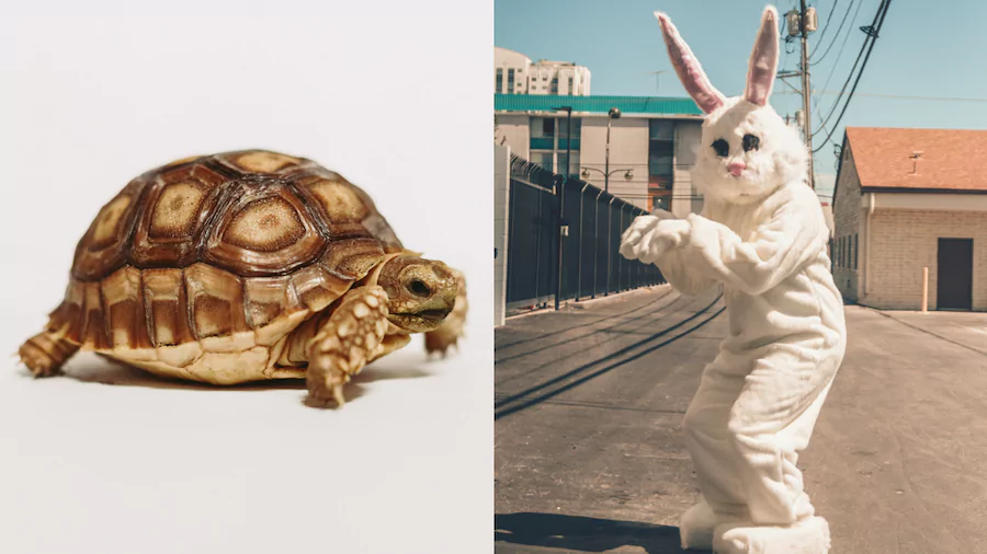 The Tortoise and the Hare