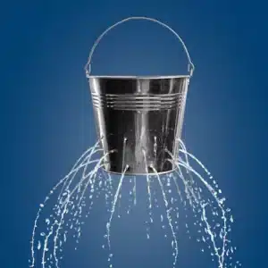 The Efficiency Trap and a leaky bucket