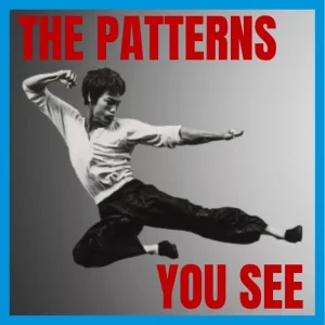 What Bruce Lee taught me about Experience - The Patterns You See